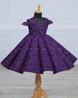 Purple Shaded Floral Embroiderred Panel Gown