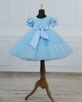 Baby Blue Fairy Tale Dress with Wild Flowers.