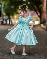 Light Sky Blue Elegant Dress Highlighted With Handcrafted Flowers.