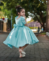 Light Sky Blue Elegant Dress Highlighted With Handcrafted Flowers.