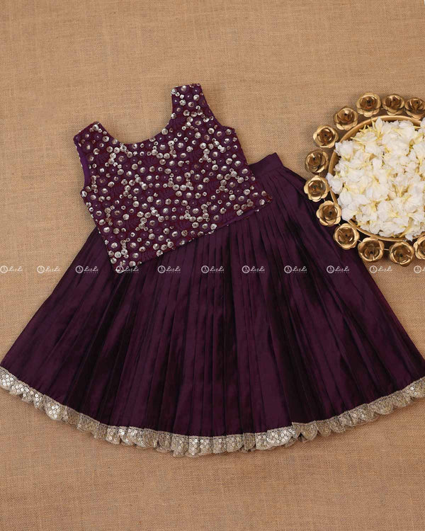 Plum Color Skirt With Embroidery Material Top.