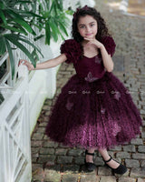 Plum Color Feather Trimmed Short Dress Highlighted With Handcrafted Butterflies.