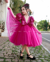 Rani Pink Twinkle Party Wear Frock